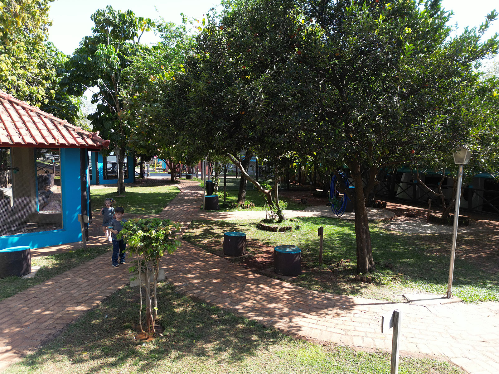 Imagem 4