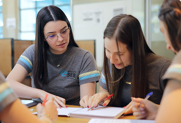 Desenvolvimento Socioemocional